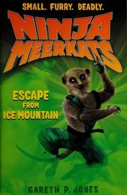 Escape from Ice Mountain