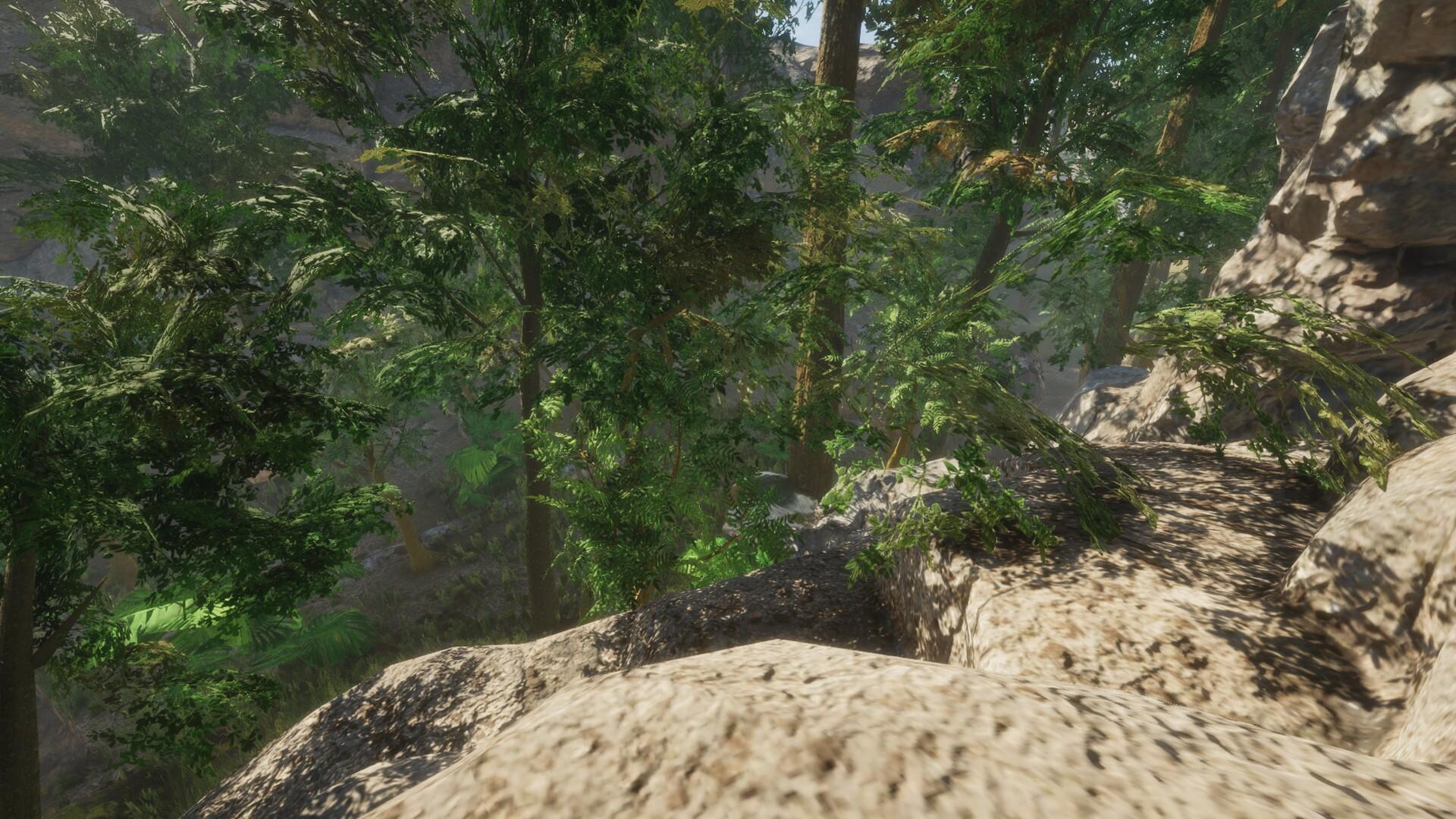 Forest