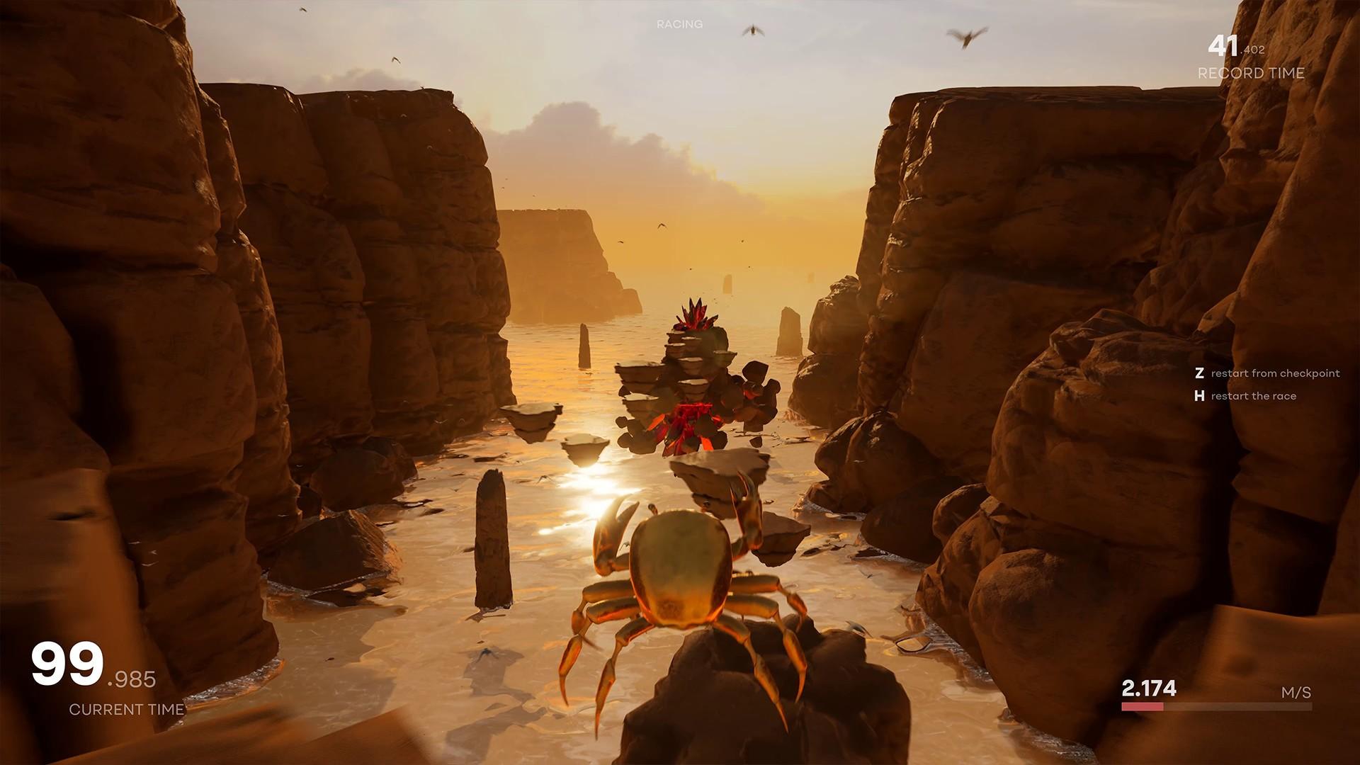 Crab Champions
